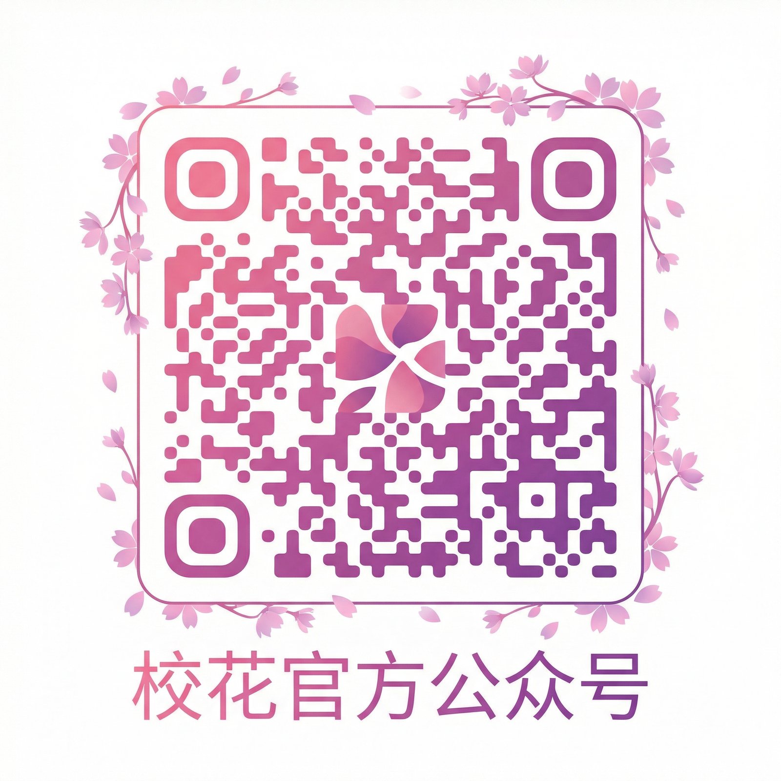 91官方公众号二维码